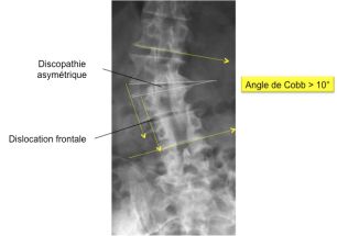 Cliquer pour agrandir.