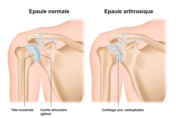 Cliquer pour agrandir.
